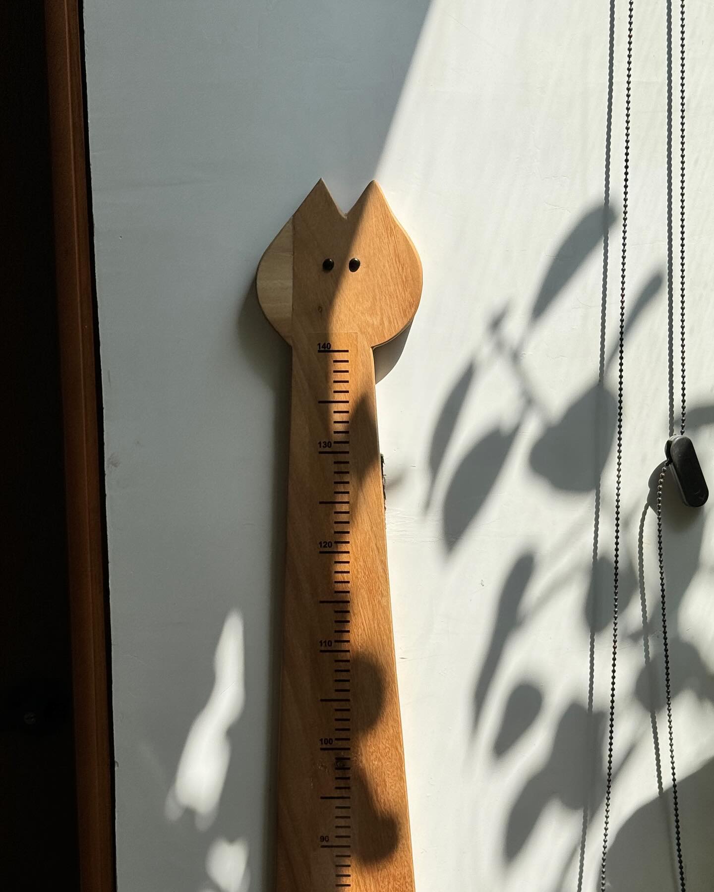 SaveClip.App_434847509_960829068742898_6988580420950717046_n